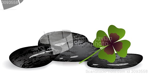 Image of shamrock leaf on black stones