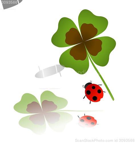 Image of ladybird and shamrock leaf 