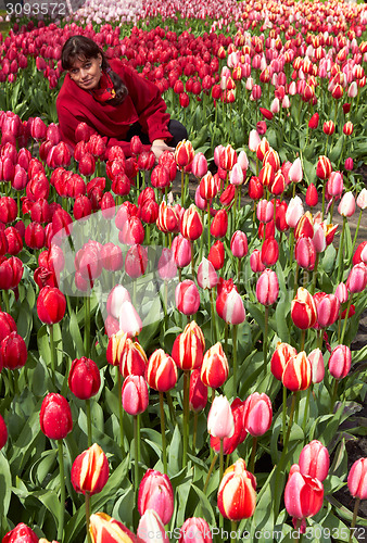 Image of Girl in Tulip field  , Keukenhof Flower Garden