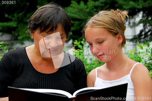 Image of Happy family book