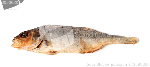 Image of Sun-dried stockfish isolated on white background