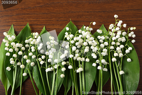 Image of Lily of the valley.