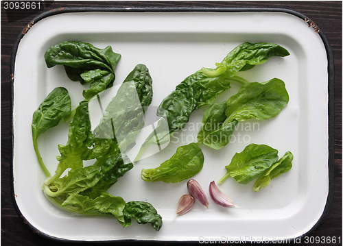 Image of Spinach