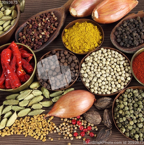 Image of Indian spices