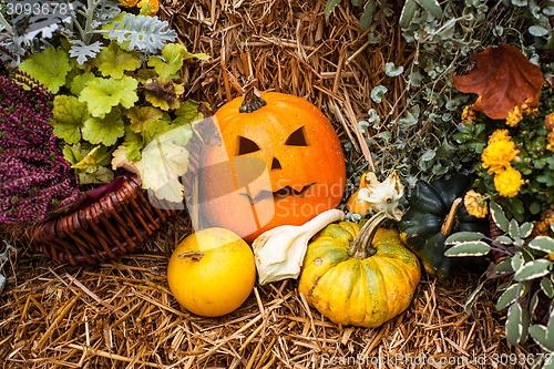 Image of Halloween decoration with pumpkins
