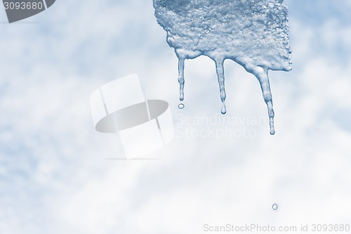 Image of Melting icicle with waterdrops