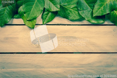 Image of Leaves on wooden background