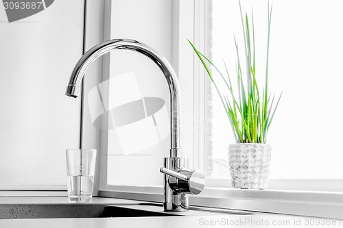 Image of Faucet with a green plant