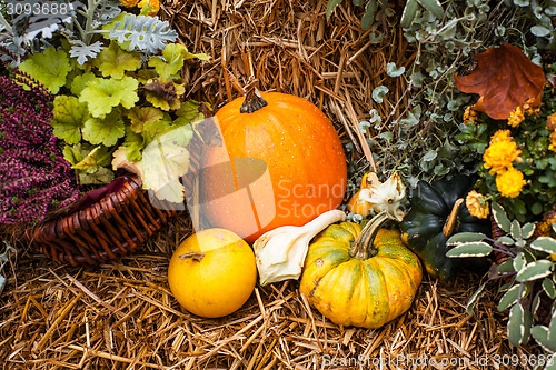 Image of Pumpkin ornament in the fall