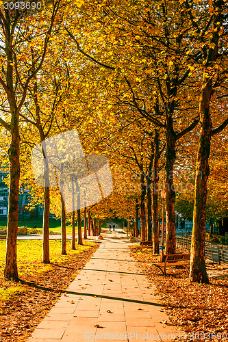 Image of Autumn in a park