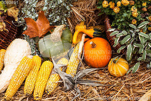 Image of Autumn ornament with pumkins and corn