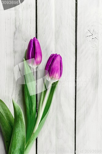 Image of Tulip flowers on wood