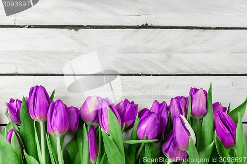 Image of Tulip flowers on wood background