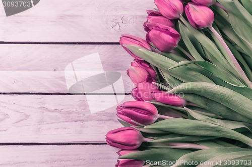 Image of Tulip flowers in romantic colors