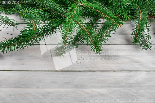 Image of Pine on wood background