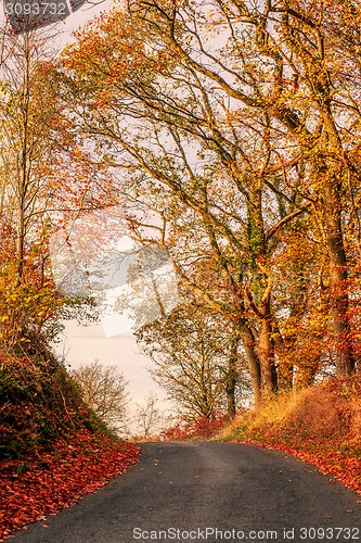 Image of Autumn scenery with a road