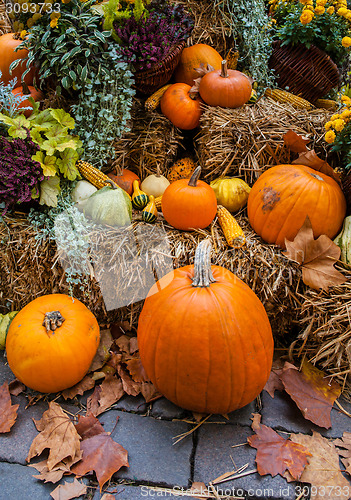 Image of Autumn ornament with pumkins