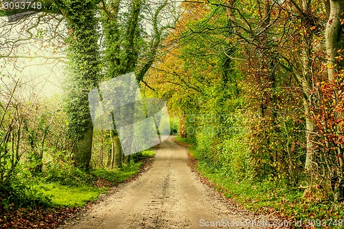 Image of Landscape with a road