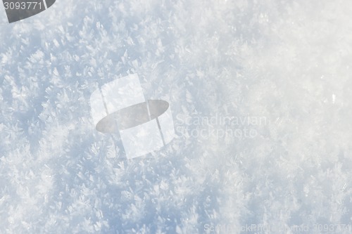 Image of Snow background with snowflakes