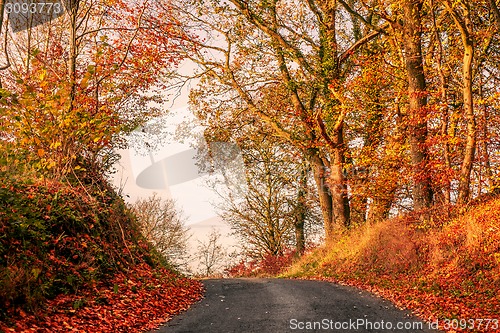 Image of Road in autumn landscape