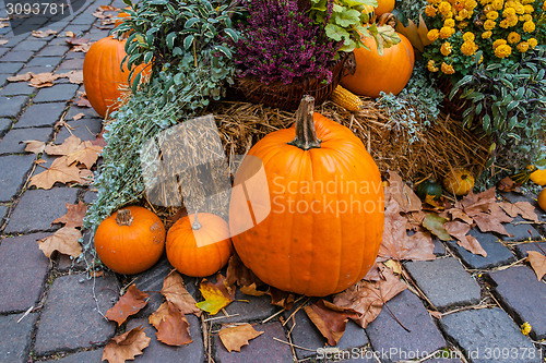 Image of Halloween ornament at autumn