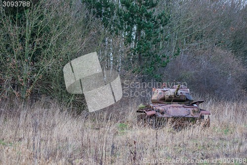 Image of Tank in the nature