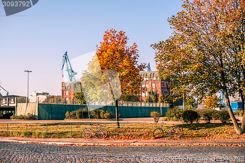 Image of Autumn leaves at a street