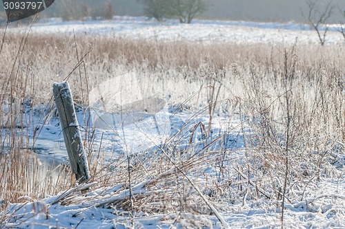 Image of Winter landscape at a countryside