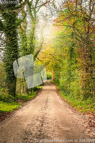 Image of Springtime scenery with a road