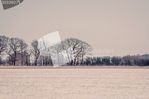 Image of Winter landcape in violet tone