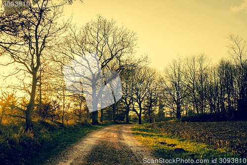 Image of Road in nature