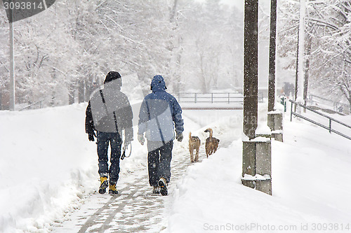 Image of Walking in the snow