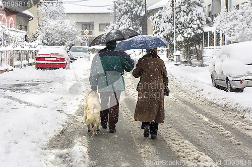 Image of Walking in winter