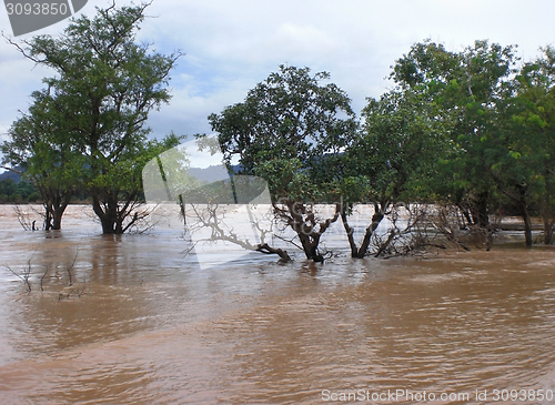 Image of flooded scenery in Laos