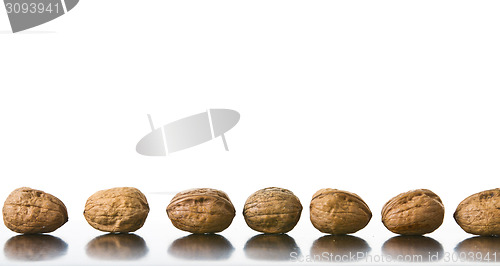 Image of Nuts