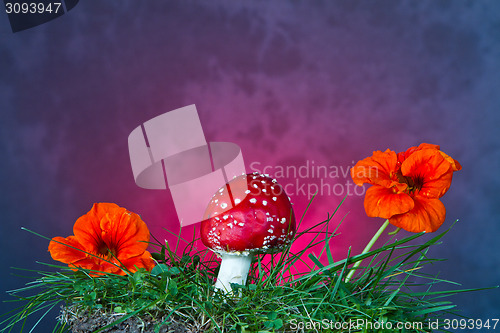 Image of Mushroom and flower