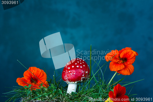 Image of Mushroom and flower