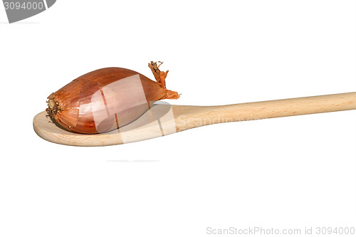 Image of Single onion on a light wooden spoon