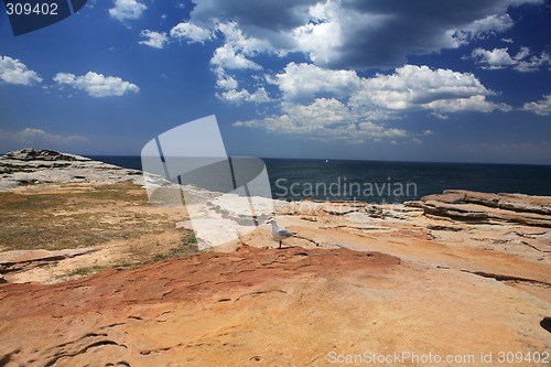 Image of Coastal Landscape