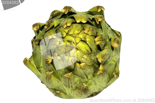 Image of Single artichoke from above