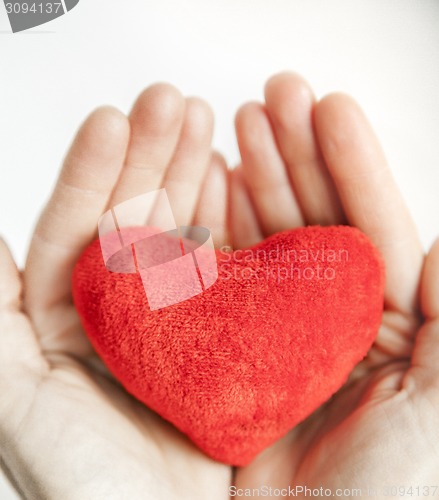 Image of love concept. holding a red heart in hands.