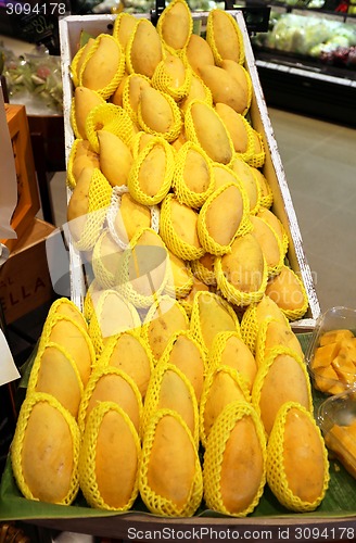 Image of mango fruit