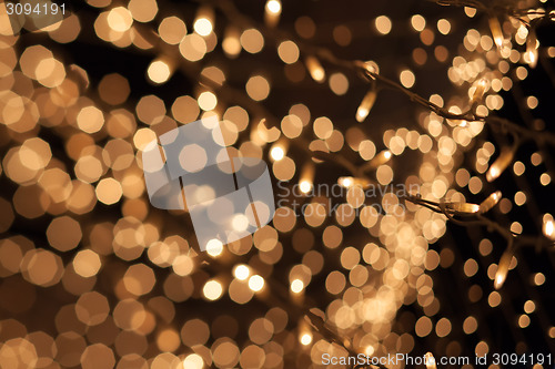 Image of Natural bokeh. Photo of holidays lights