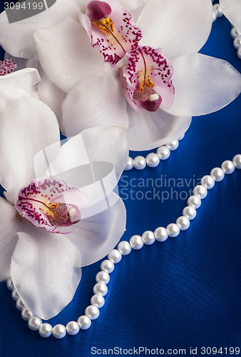 Image of branch beautiful orchids