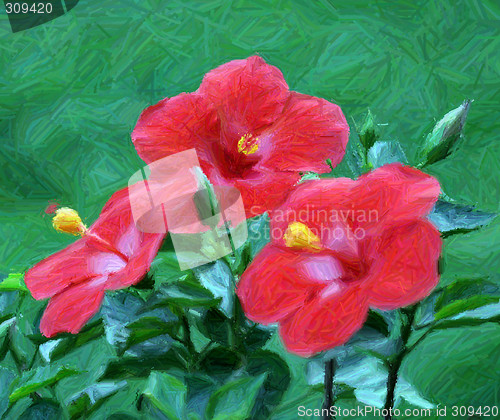 Image of Hibiscus Art