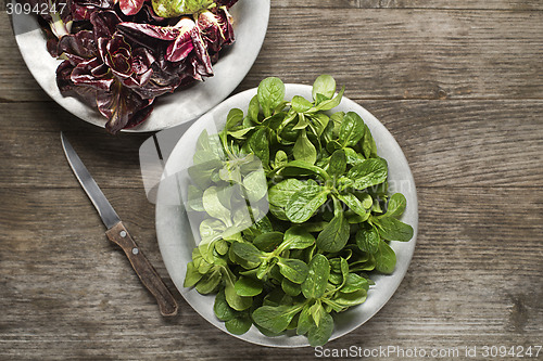 Image of Lamb's lettuce 