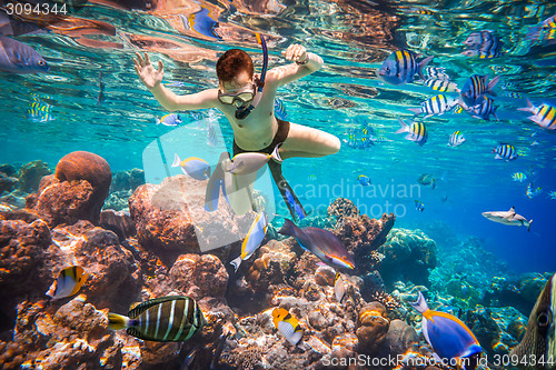 Image of Snorkeler Maldives Indian Ocean coral reef.