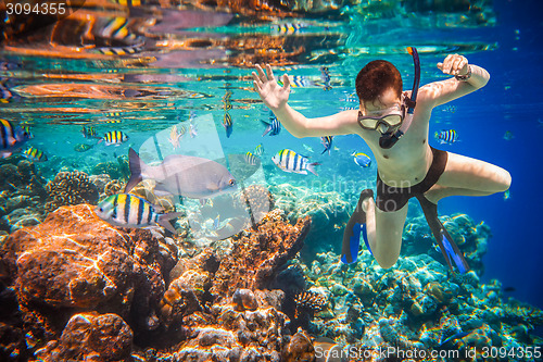 Image of Snorkeler Maldives Indian Ocean coral reef.