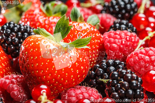 Image of Variety of different berries