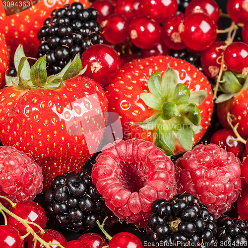 Image of Variety of different berries